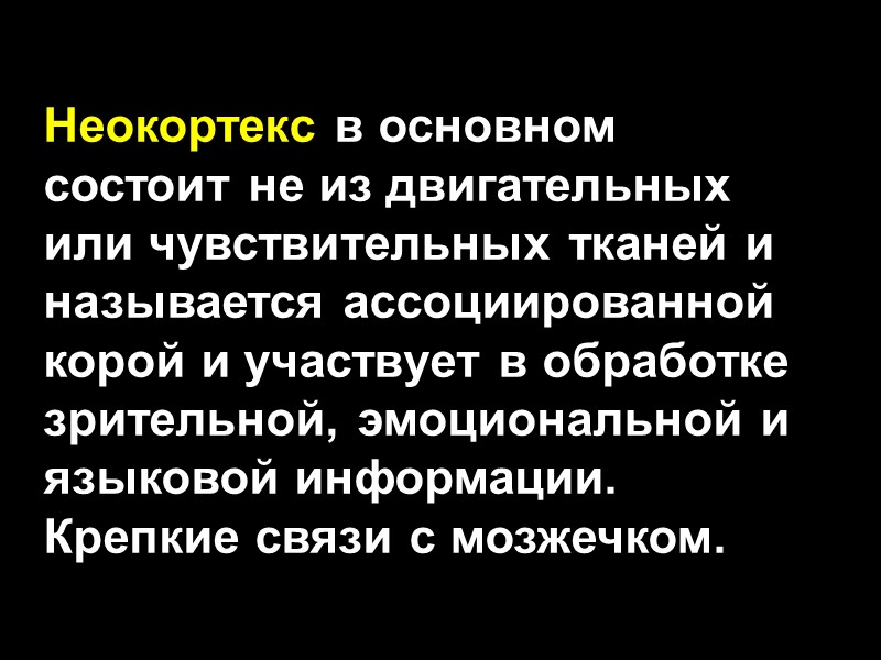 Неокортекс в основном состоит не из двигательных или чувствительных тканей и называется ассоциированной корой